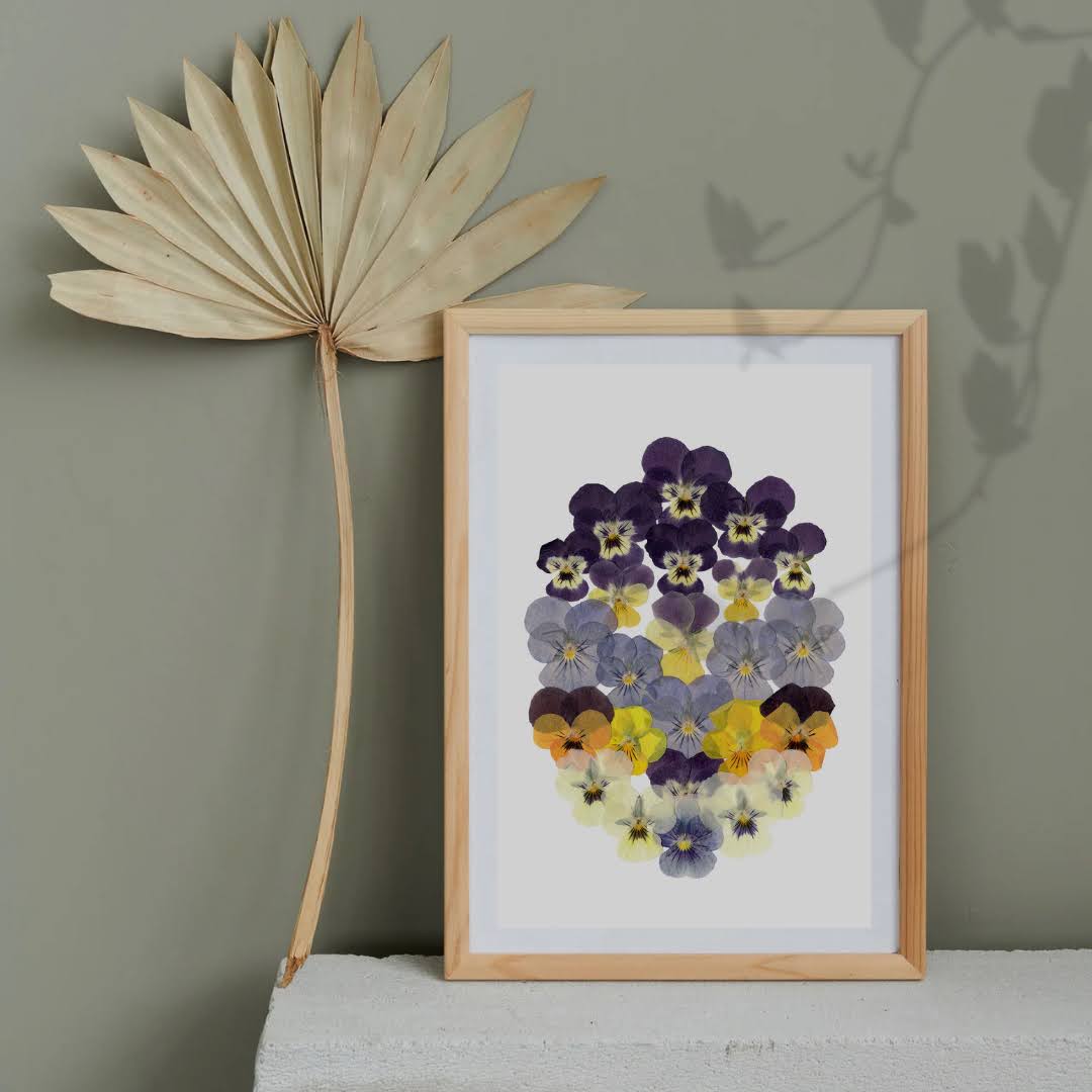 Pressed Flower Art Print - Viola family -