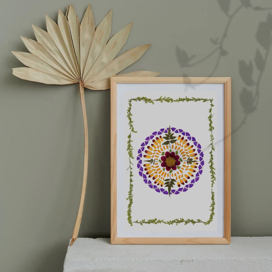 Pressed Flower Art Print - Sun of small petals -