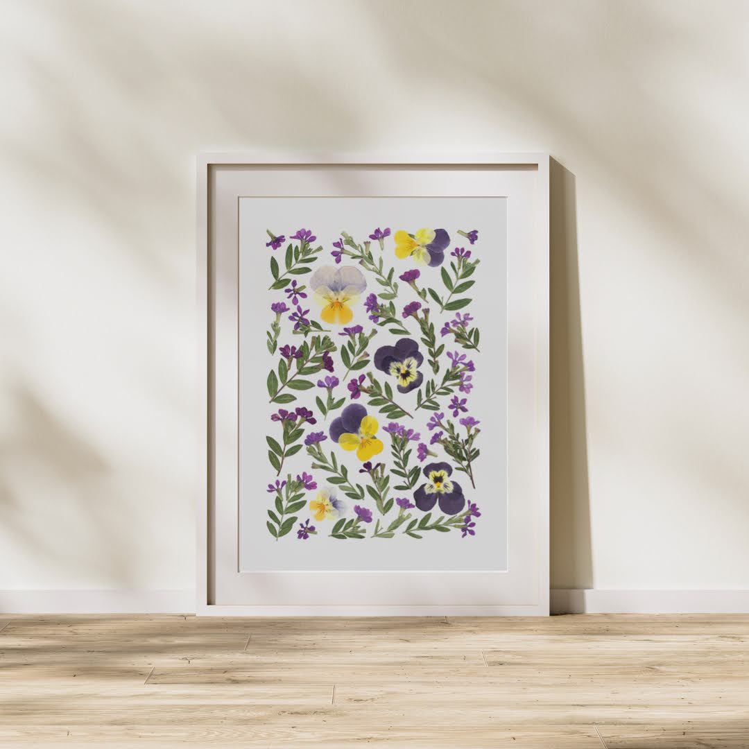 Pressed Flower Art Print - Violet Violas -