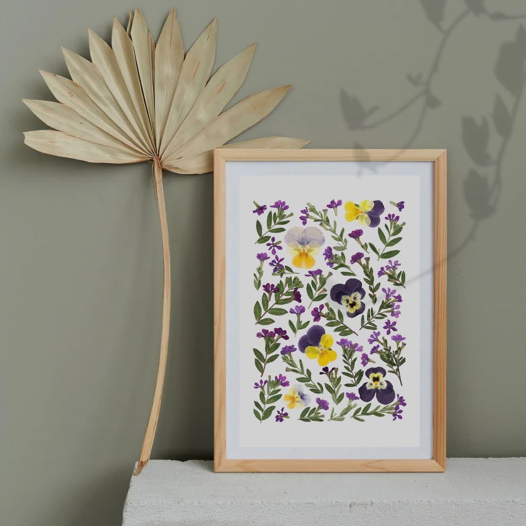 Pressed Flower Art Print - Violet Violas -