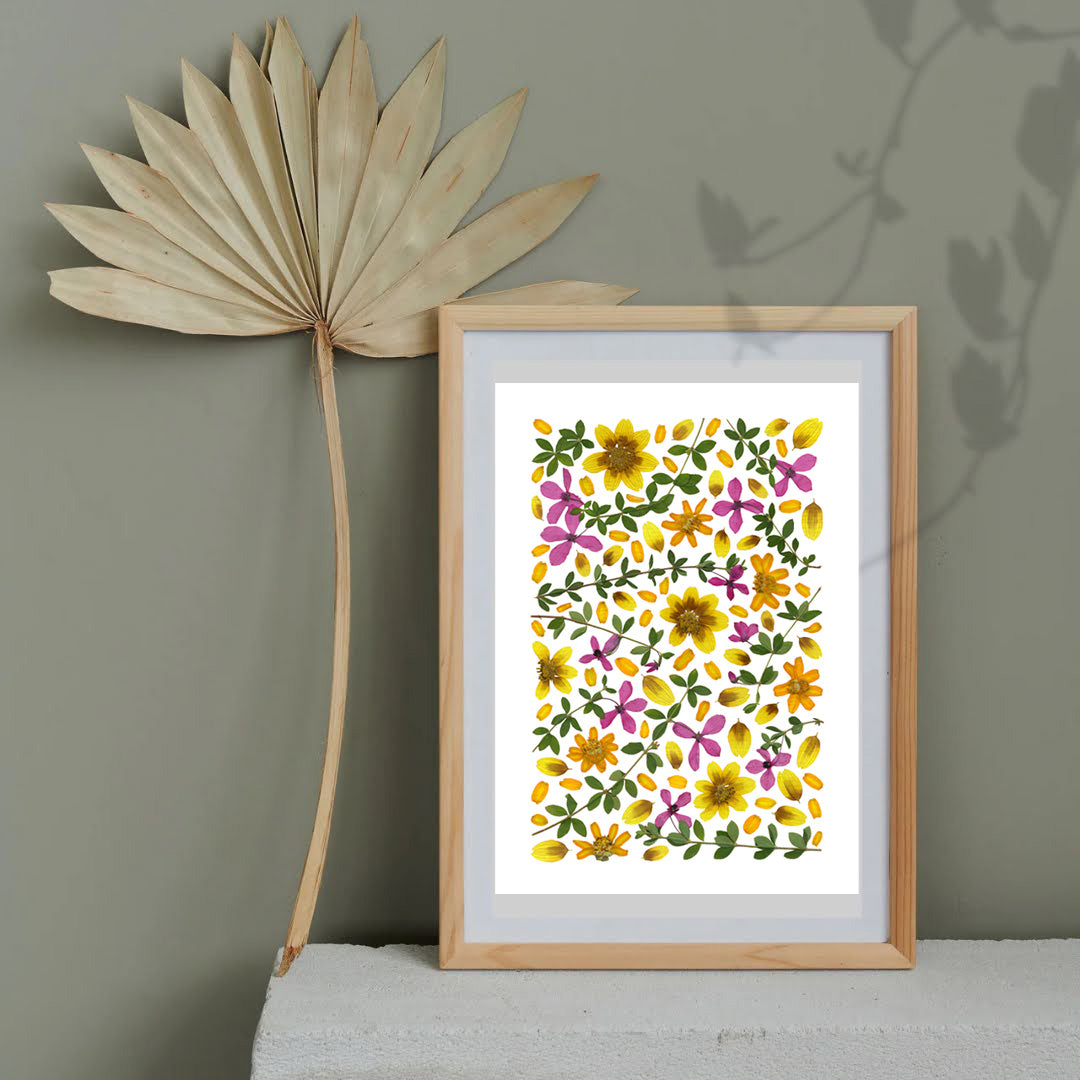 Pressed Flower Art Print -Tetratheca+Zinnia -