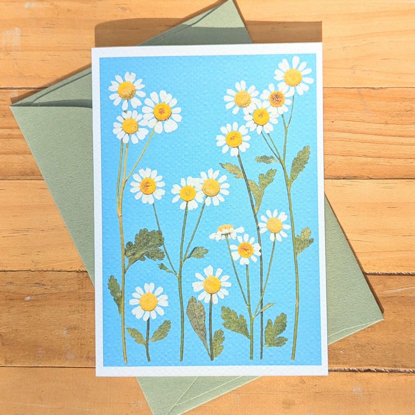 Chamomile CARD