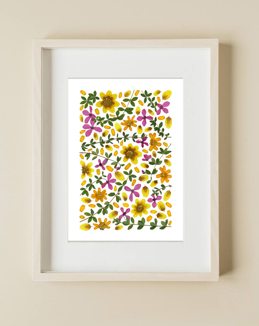 Pressed Flower Art Print  -Tetratheca+Zinnia  -