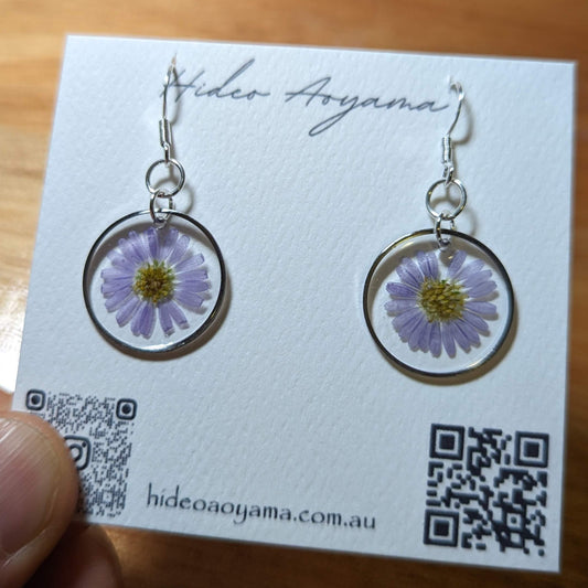 ( Real flower jewelry ) Rock daisy earrings