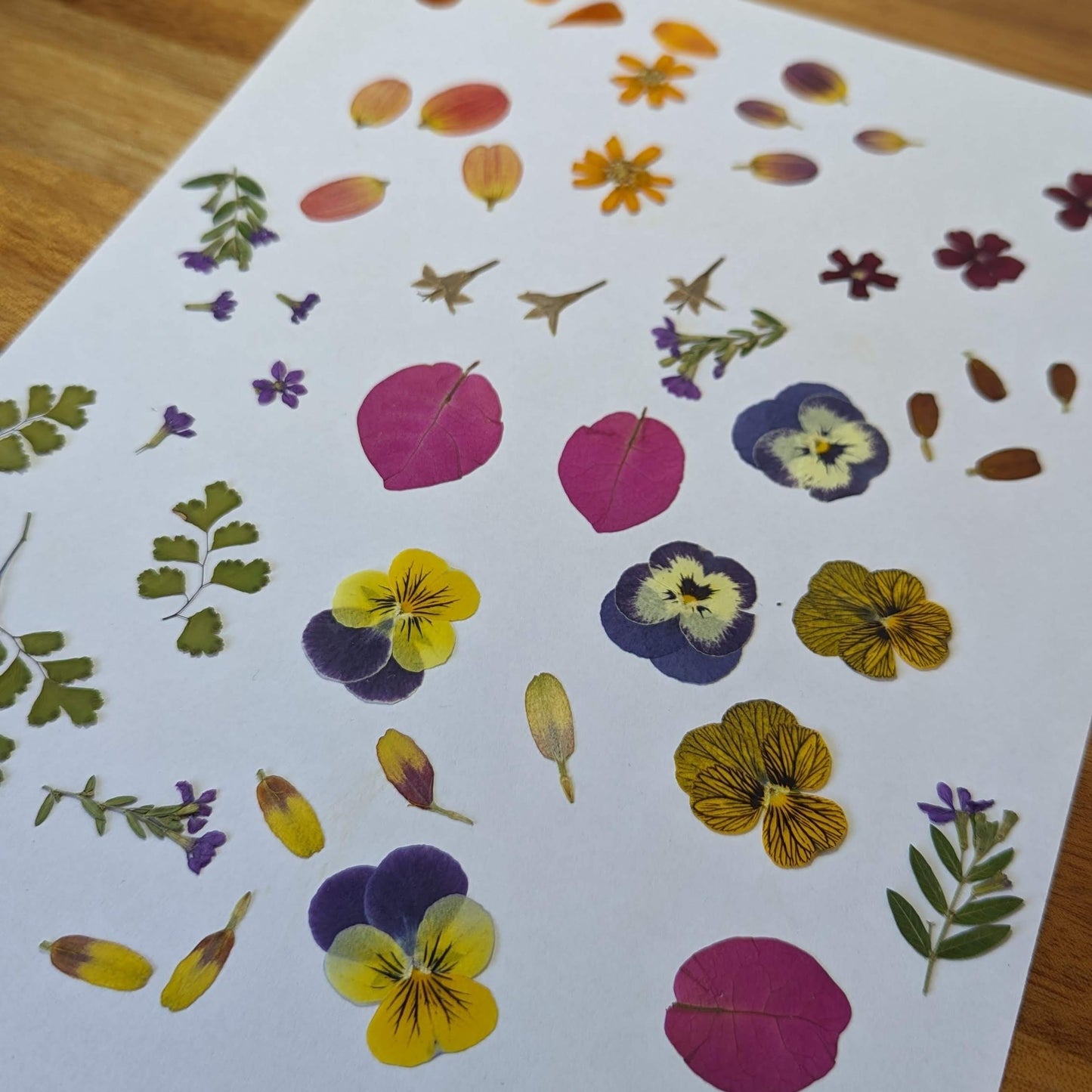 Pressed Flower Workshop