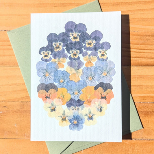 VIOLA CARDS