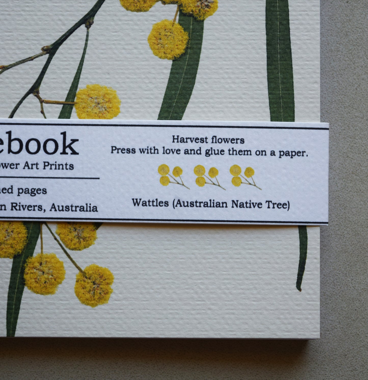 WATTLE ( AUSTRALIAN NATIVE ) NOTEBOOK